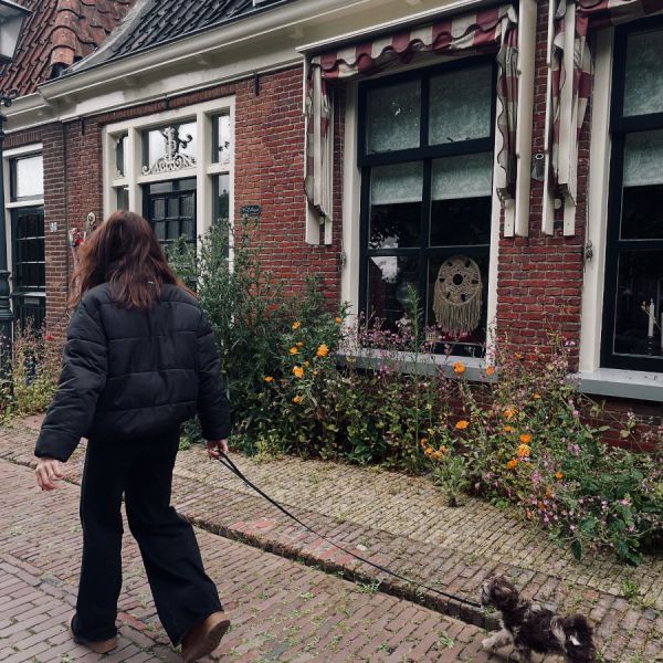 Huisdierenoppas Linde uit Ijlst