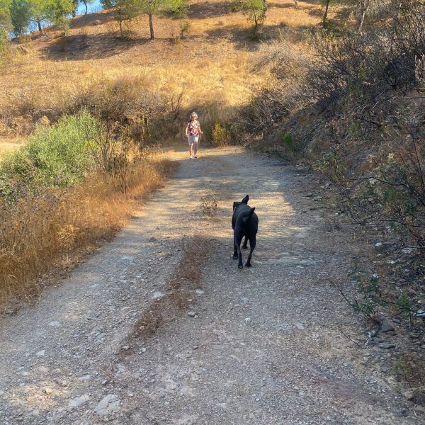 Hondenoppas Geertien uit Den Haag