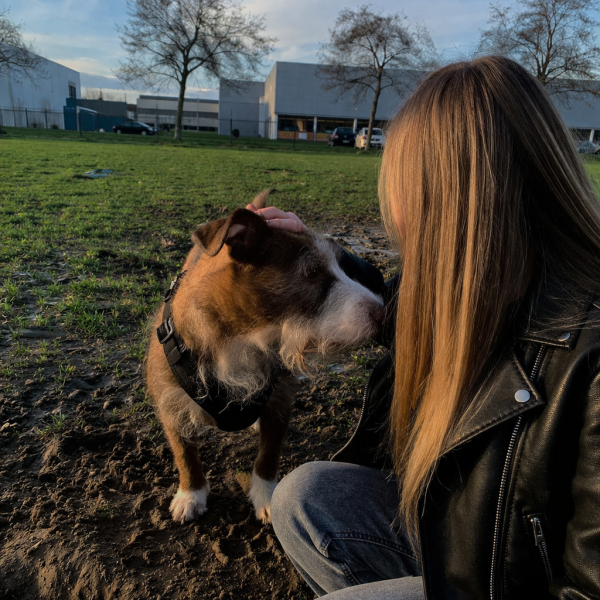Huisdierenoppas Jolina uit Houten