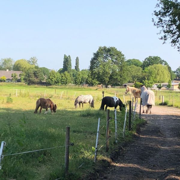 Misty en Saskia uit Helvoirt zoekt een Boerderijoppas