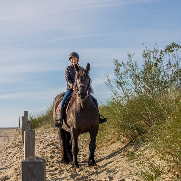Huisdierenoppas Portia uit Westkapelle