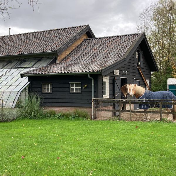 Ayla uit Noordhoek zoekt een Paardenverzorger
