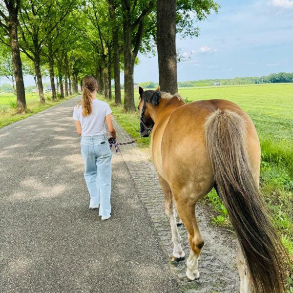 Huisdierenoppas lindsey uit Hardenberg