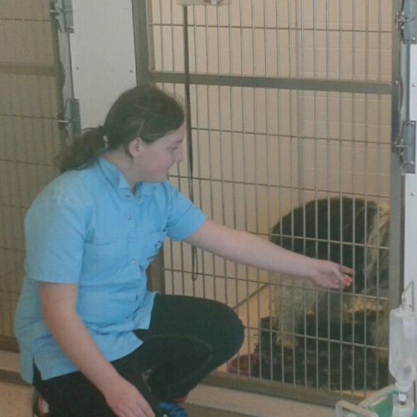 Huisdierenoppas Kyara uit Leeuwarden