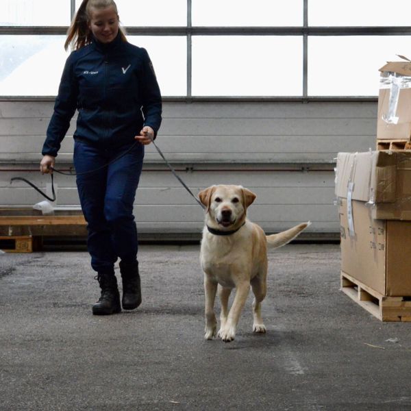 Huisdierenoppas Marieke uit Waddinxveen