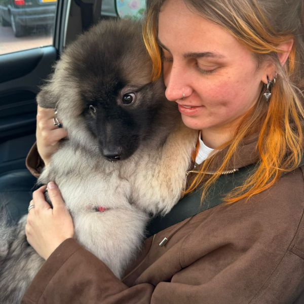 Hondenoppas Maureen uit Groningen