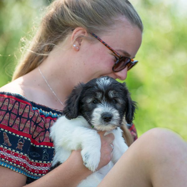 Huisdierenoppas Daphne uit Ermelo