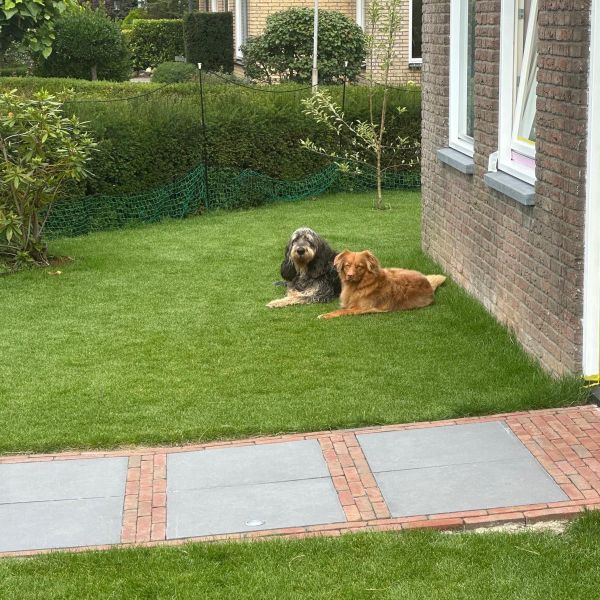 Sjakie, Noortje uit Bemmel zoekt een Hondenoppas