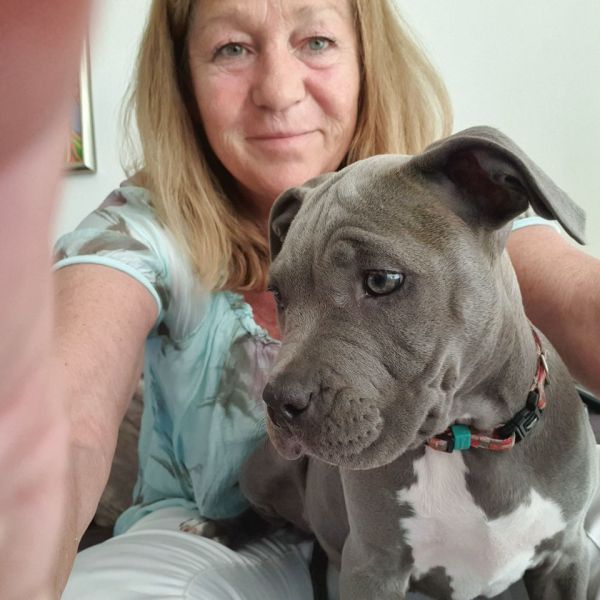 Hondenoppas Hanny uit Ter Aar