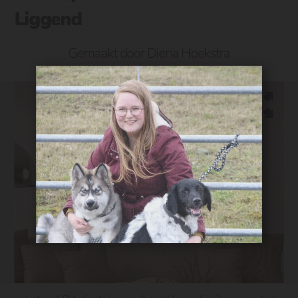 Huisdierenoppas Diena uit Rohel