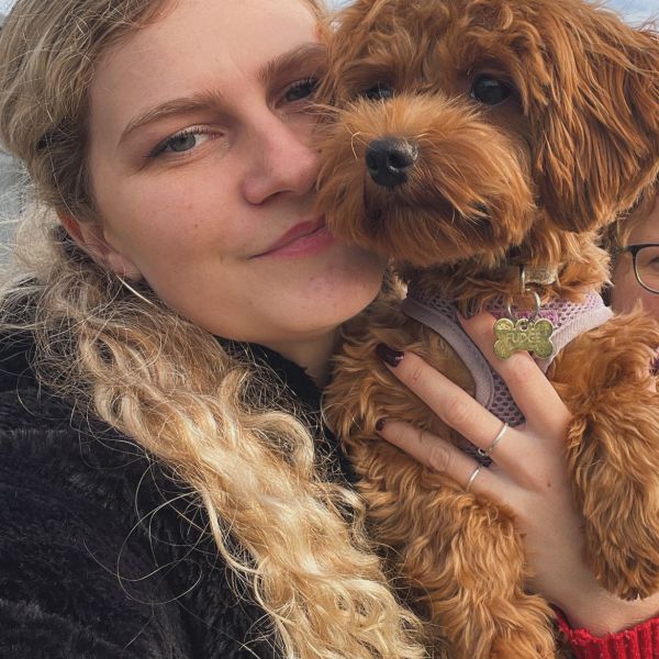 Fudge uit Kampen zoekt een Hondenoppas