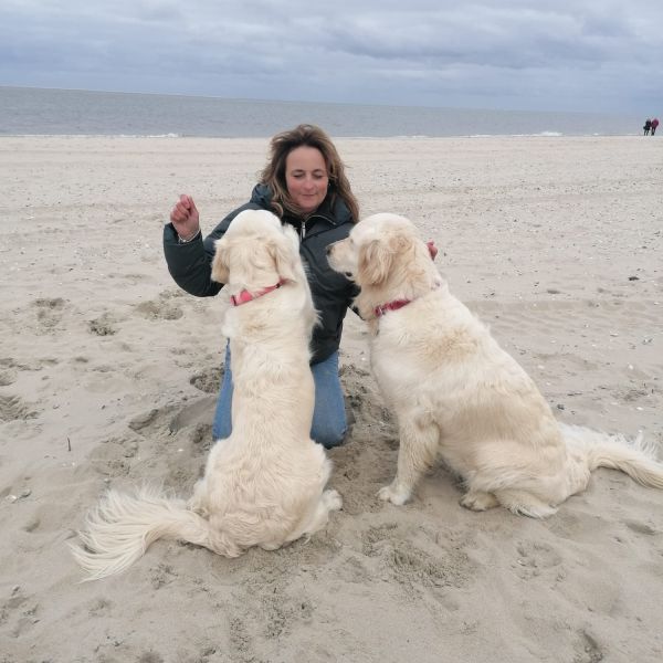Hondenoppas Moon uit Hoorn