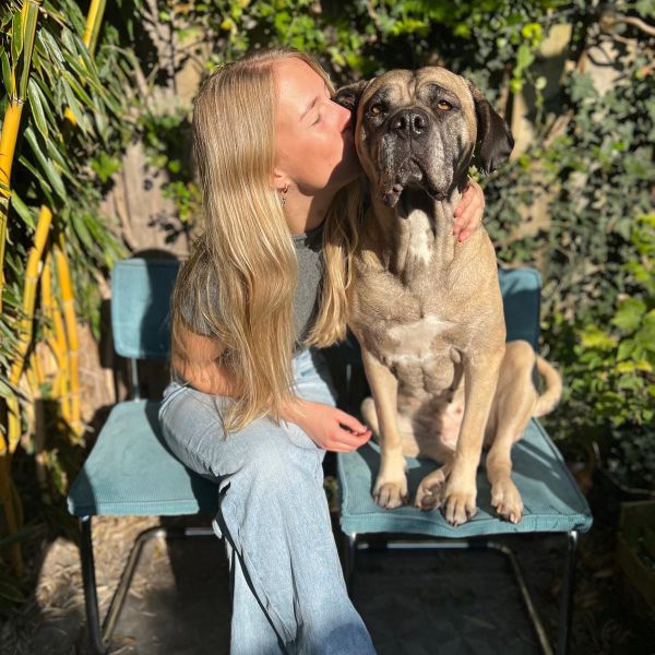 Coco uit Eindhoven zoekt een Hondenoppas