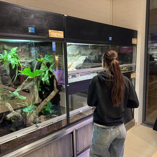 Huisdierenoppas Sanne uit Pijnacker