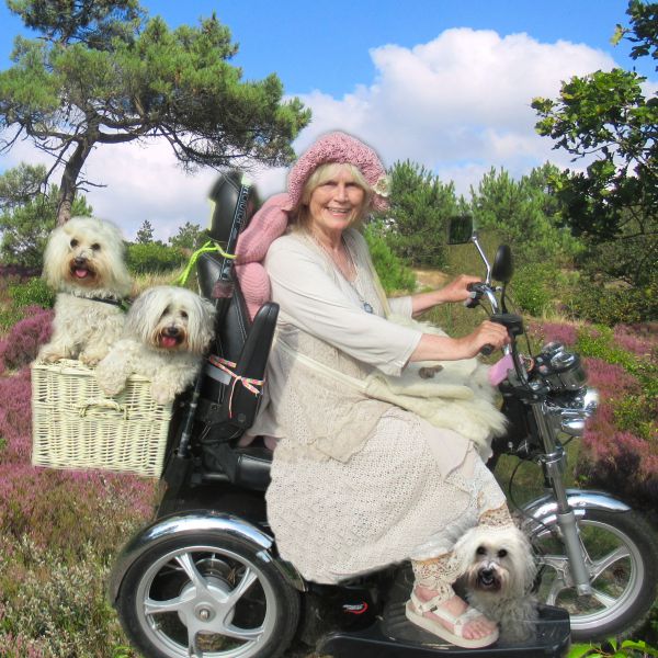 Valentijn, Roosmarijn, Flora uit Schoorl zoekt een Hondenoppas