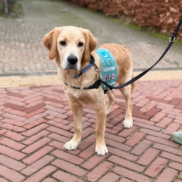 Huisdierenoppas Alessia uit Akersloot