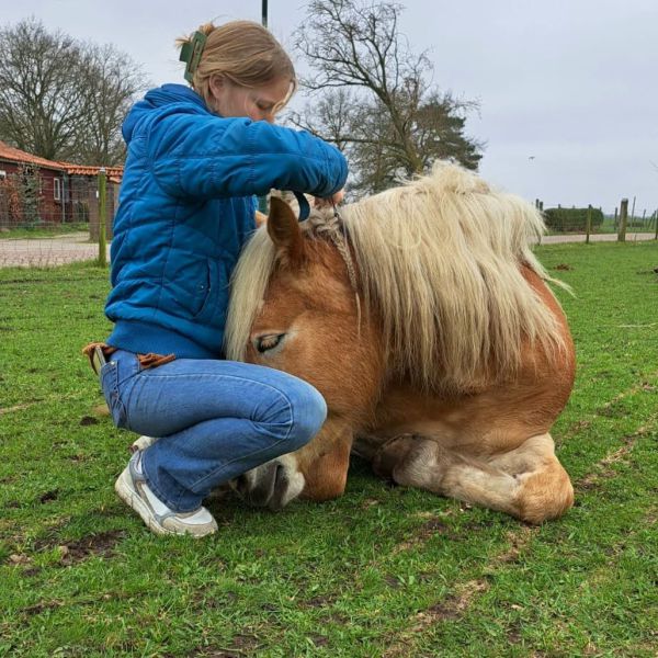 Huisdierenoppas Lara uit Soest