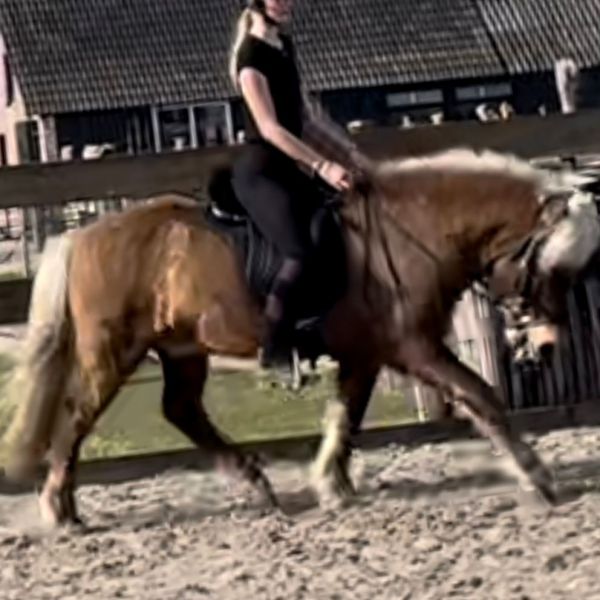 Huisdierenoppas Liza uit Raamsdonk