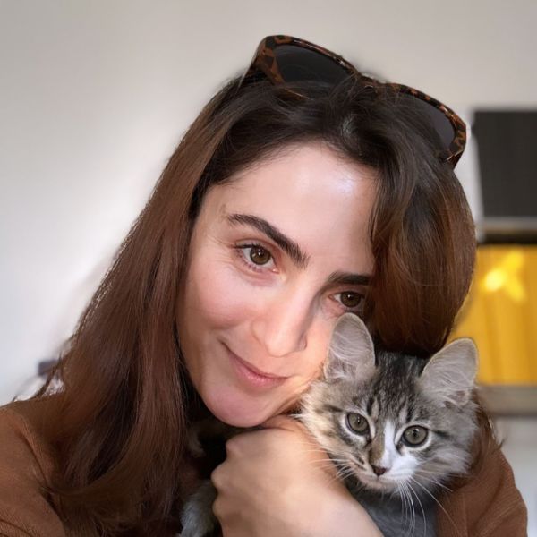 Kattenoppas Goli uit Hilversum