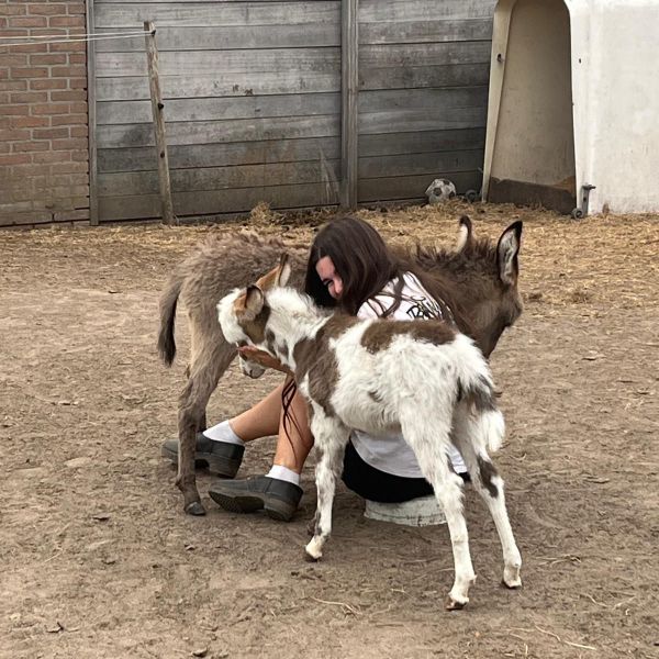 Huisdierenoppas Priya uit Eindhoven