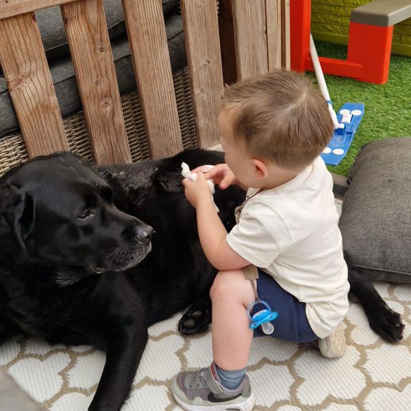 Buddy, Buddy uit Eindhoven zoekt een Hondenoppas