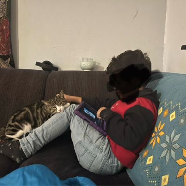 Bobbie uit Hellevoetsluis, Zuid-Holland zoekt een Kattenoppas