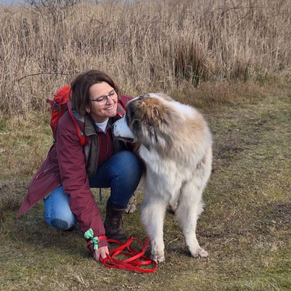 Linde uit Helmond zoekt een Hondenoppas