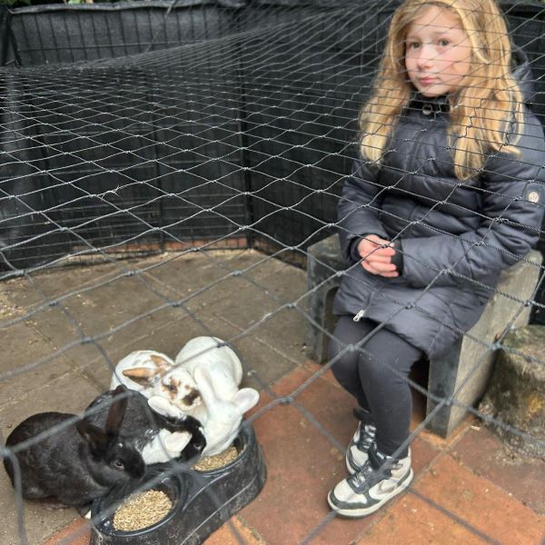 Konijnen uit Tilburg zoekt een Knaagdierenoppas