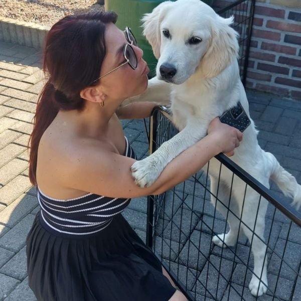 Hondenoppas Quinty uit Born