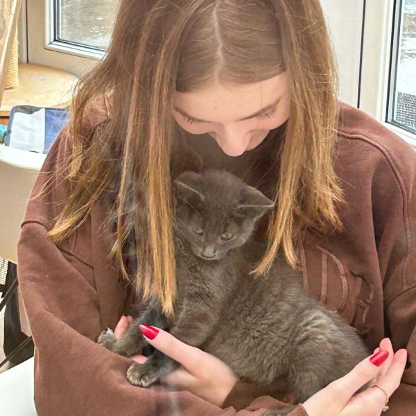 Huisdierenoppas Brecht uit Schiedam