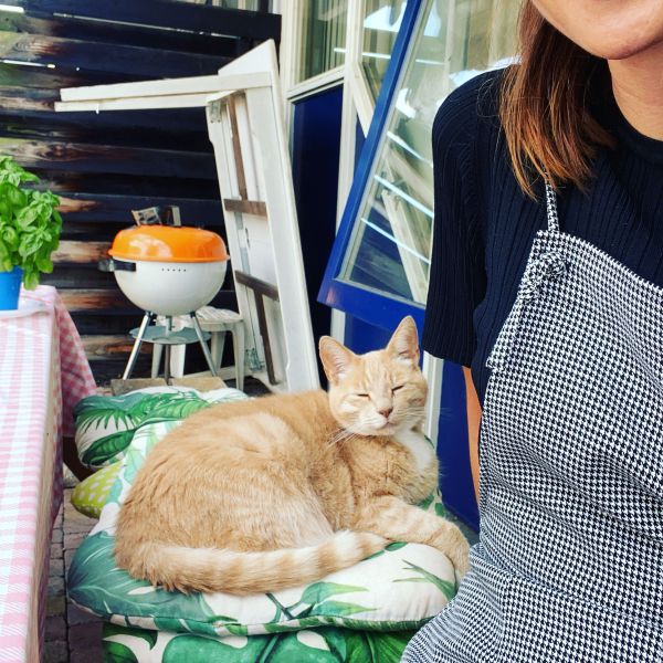 Kattenoppas Elena uit Nijmegen