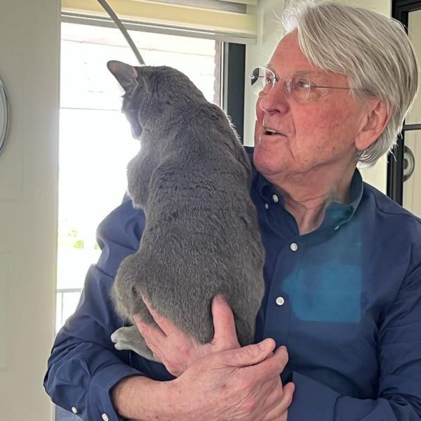 Timmy uit Amstelveen zoekt een Kattenoppas