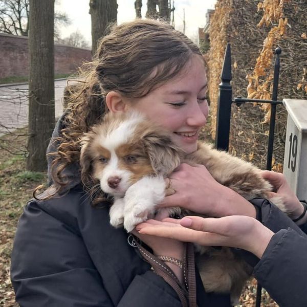 Huisdierenoppas Noor Anderiesen uit Amerongen