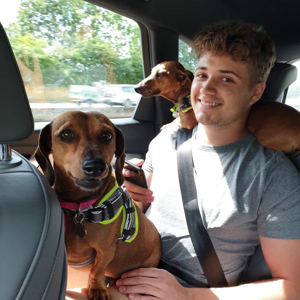 Huisdierenoppas Aidan uit Schiedam