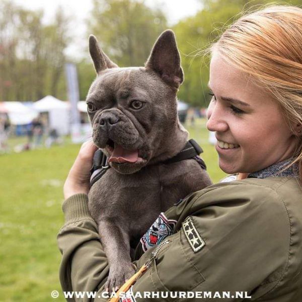 Huisdierenoppas Samantha uit Amersfoort