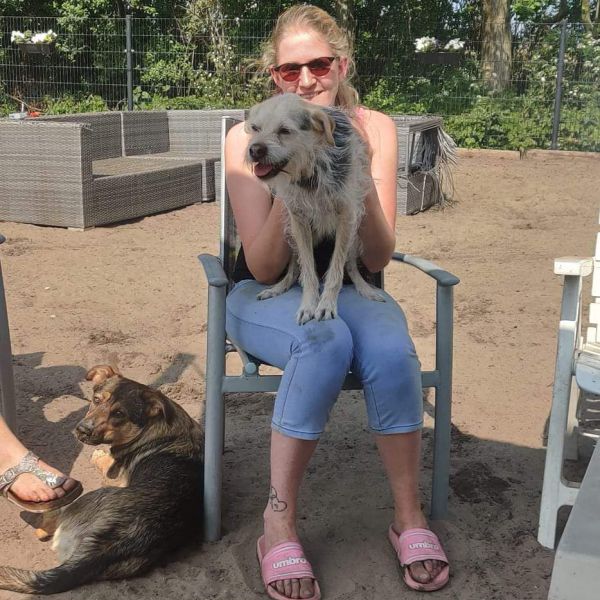 Bumba, Balou uit Nieuwveen zoekt een Kattenoppas