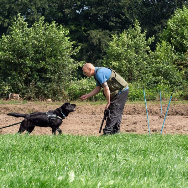 Hondenoppas Peter uit Hasselt