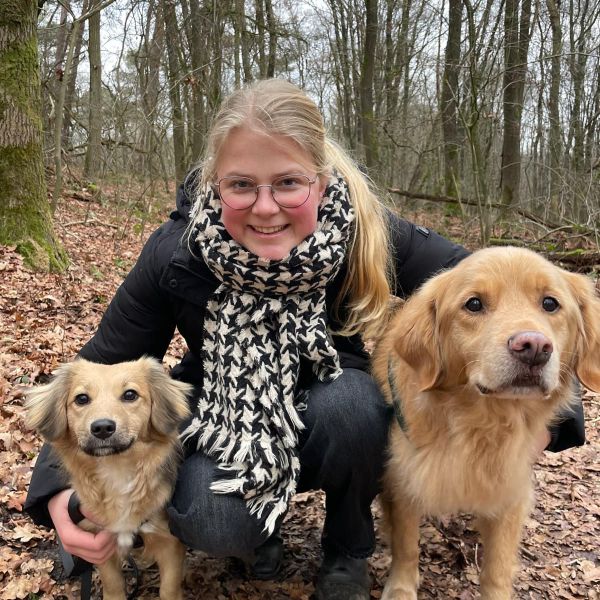 Huisdierenoppas Milou uit Horst