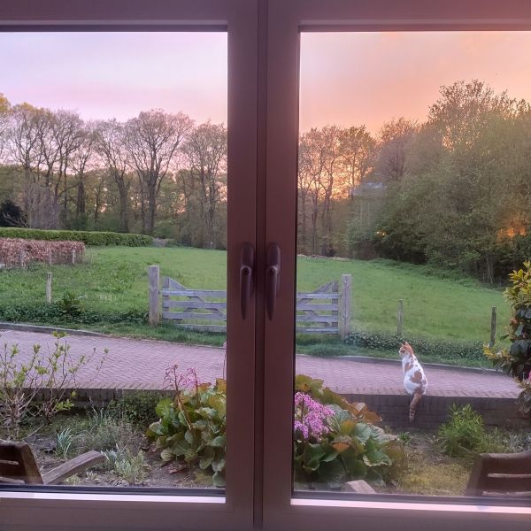 Gimli uit Berg En Dal zoekt een Kattenoppas