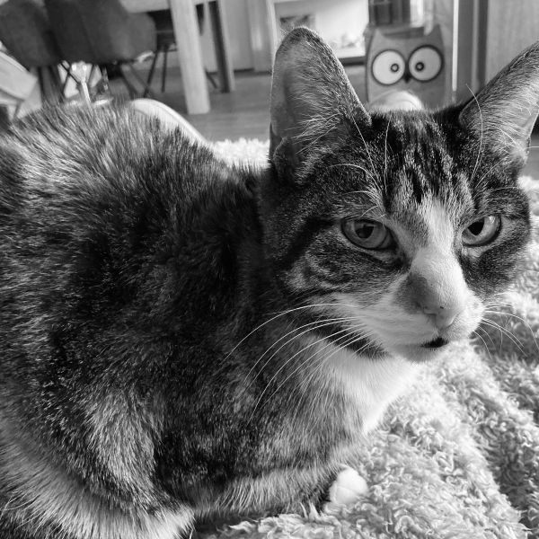 Huisdierenoppas Loes uit Gorinchem