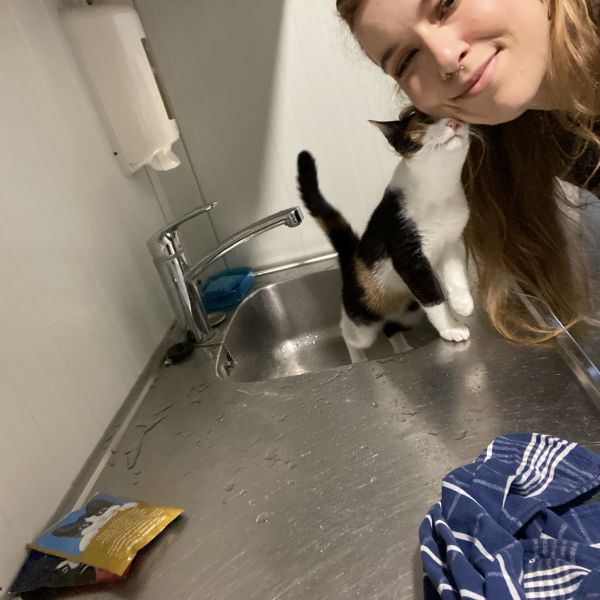 Huisdierenoppas freya uit Voorschoten