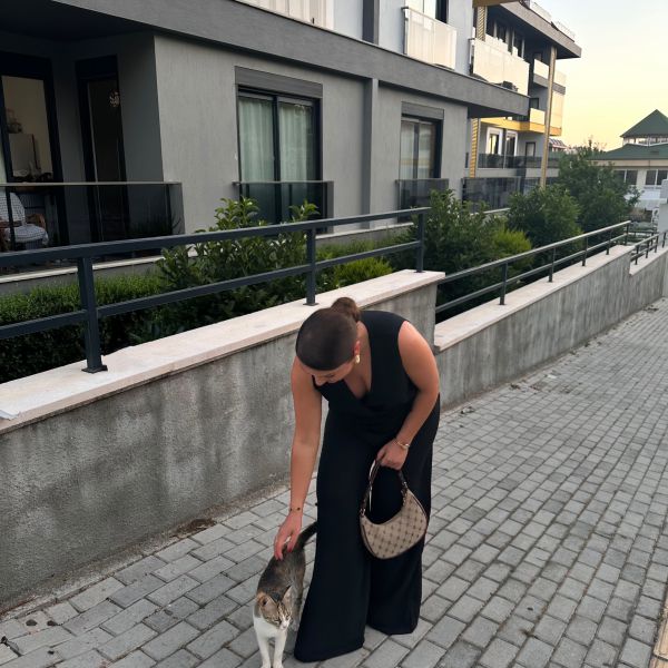 Kattenoppas Sule uit Zwijndrecht