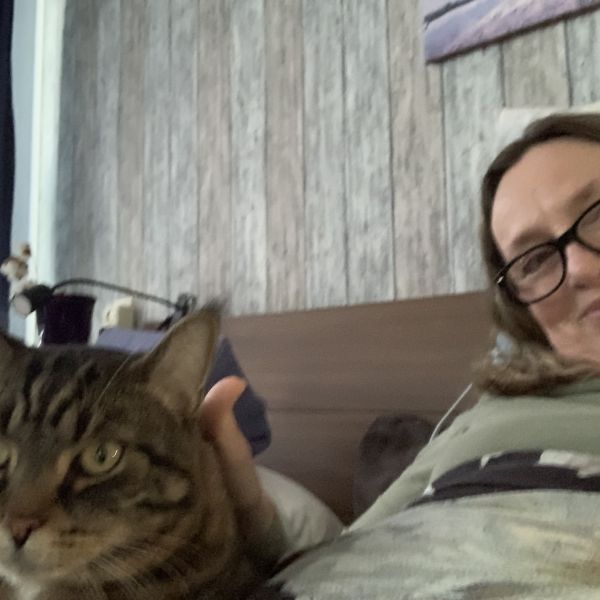 Kattenoppas Klavertje4 uit Boskoop