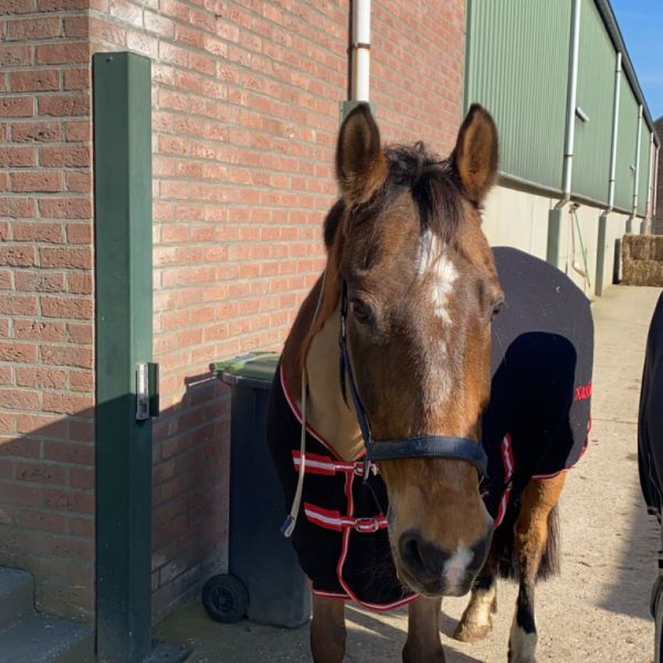 Huisdierenoppas Megan uit Kerkrade