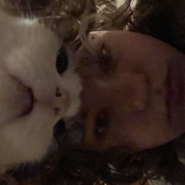 Huisdierenoppas Max uit Venray