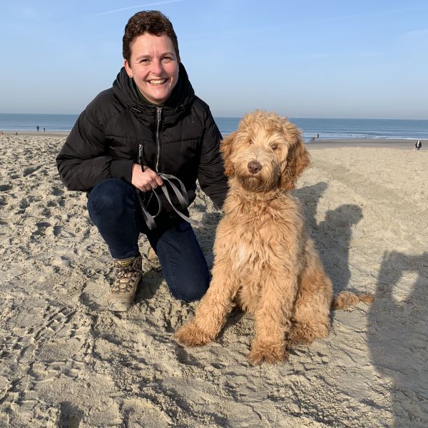 Sky uit Vlaardingen zoekt een Hondenoppas