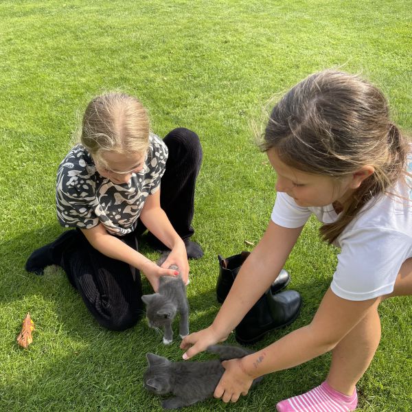 Mies en Muis uit Lutten zoekt een Kattenoppas