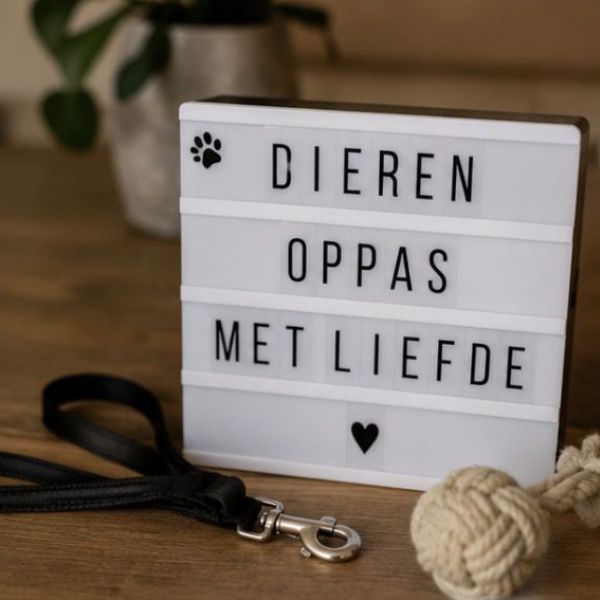 Huisdierenoppas Lesly uit Assen