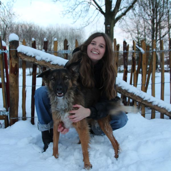 Hondenoppas Mare uit Gemonde