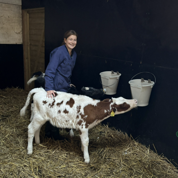 Huisdierenoppas Lieke uit Arnhem